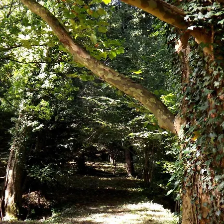 Domaine Pastel Bed & Breakfast