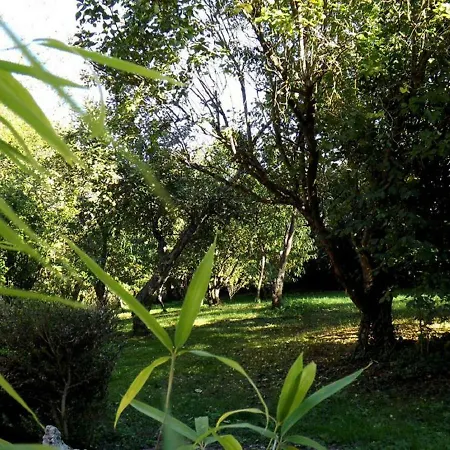 Bed & Breakfast Domaine Pastel