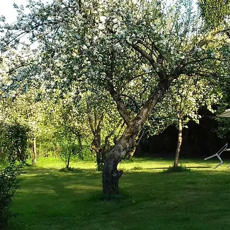 Bed & Breakfast Domaine Pastel
