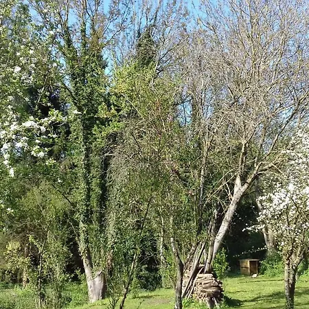 Bed & Breakfast Domaine Pastel
