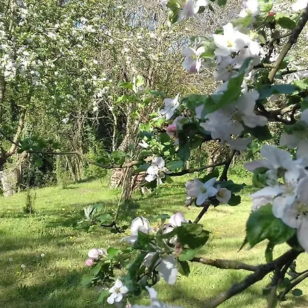 Domaine Pastel Bed & Breakfast