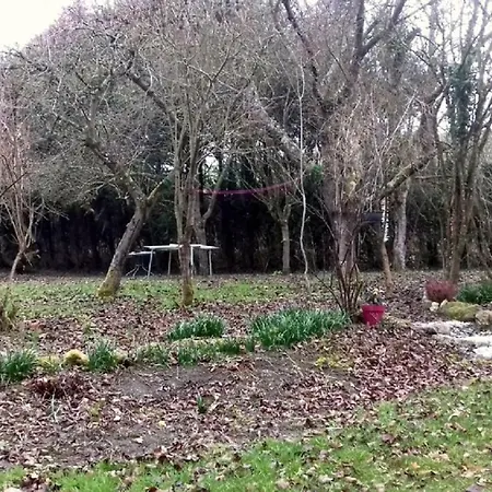 Bed & Breakfast Domaine Pastel Besson